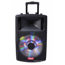 12 Inch Function Trolley Speaker with Mini Bluetooth Battery F78d